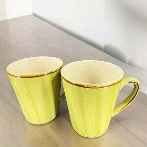 THOMSON POTTERY Mug Cup In The  A mazon Ceramic Speckled Glaze Green Set 2